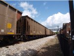 SCWX 09495